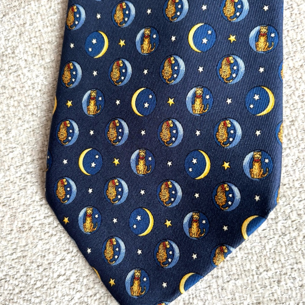 Salvatore Ferragamo tie - Picture 2 of 8